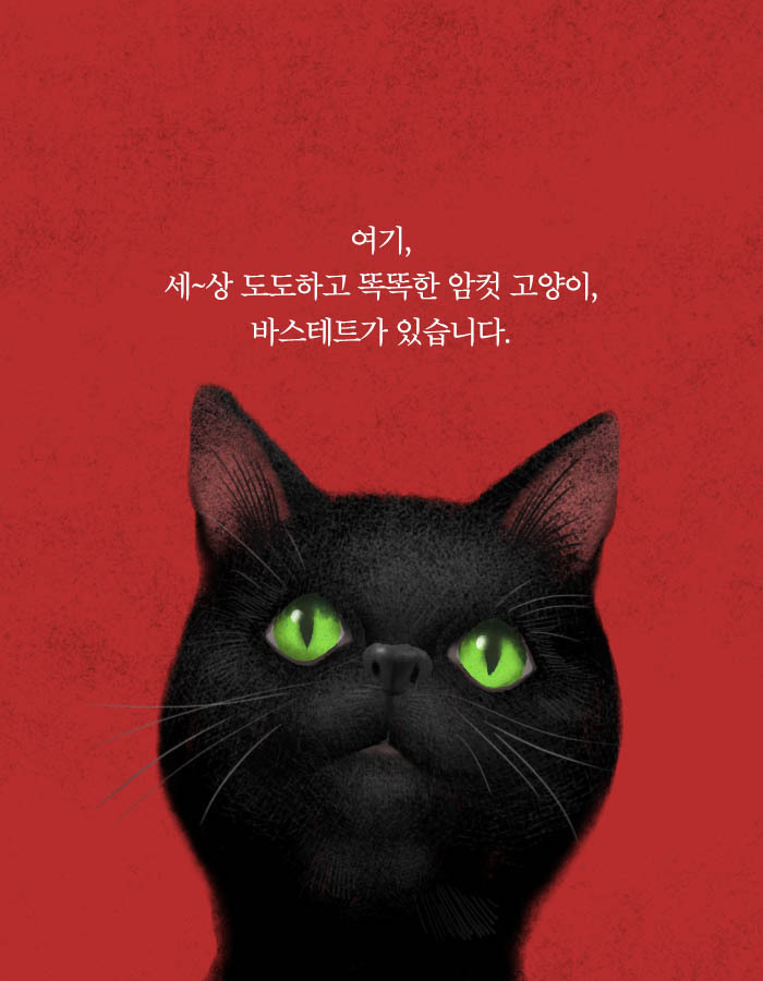 머리에 USB가 연결된 고양이 | 인스티즈