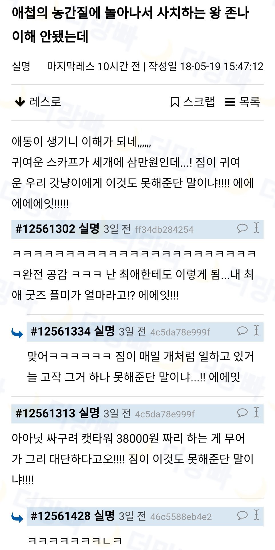  애첩의 농간질에 놀아나서 사치하는 왕 이해 안됐는데 냥이를 길러보니까... | 인스티즈