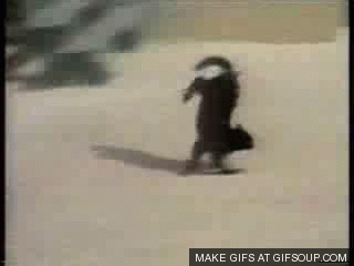 고양이 물리엔진오류 짤 모음.gif | 인스티즈