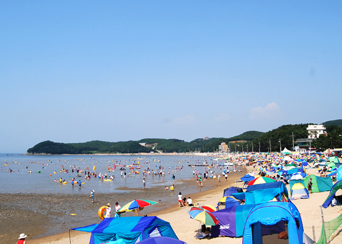 욜로 이미지