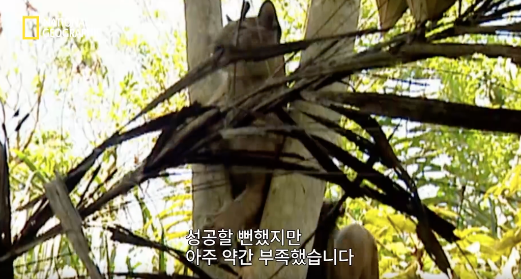 나무늘보 미워하지 않았으면 좋겠는 이유...jpg | 인스티즈