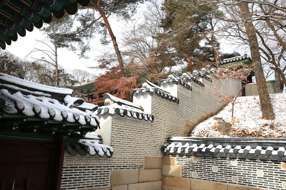 비원 이미지