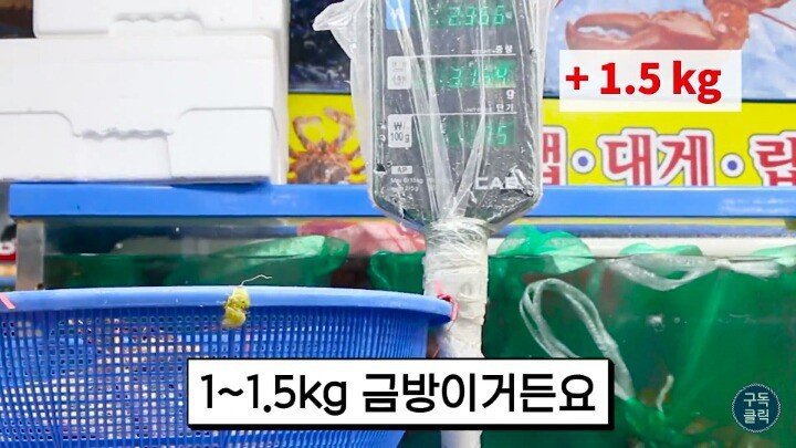 수산시장에서 바가지 안당하는법.JPG | 인스티즈
