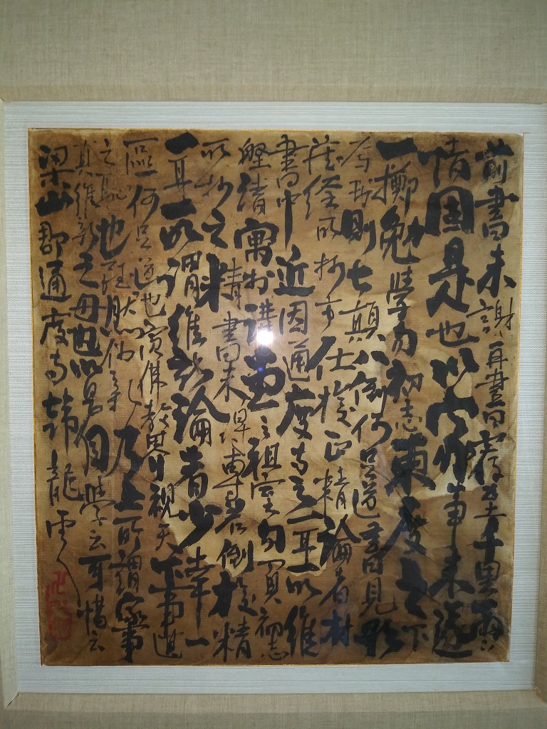 운선생 이미지