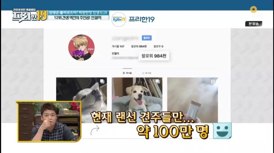 [인절미/짱절미] tvn 프리한19 견생역전의 주인공 | 인스티즈