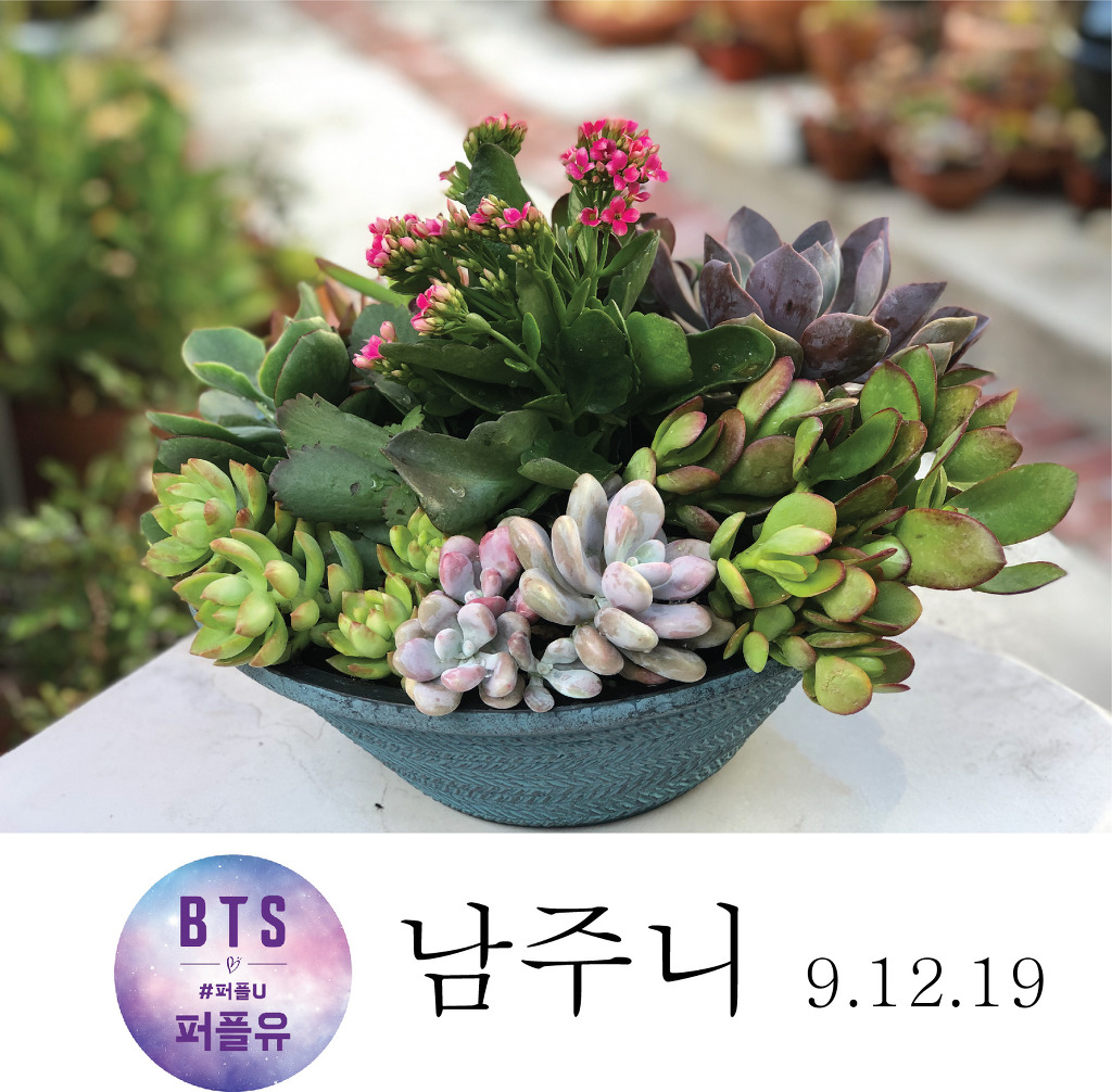 아레미 이미지