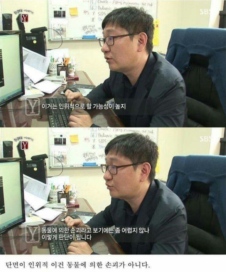 궁금한 이야기 Y 역대급 난제 | 인스티즈