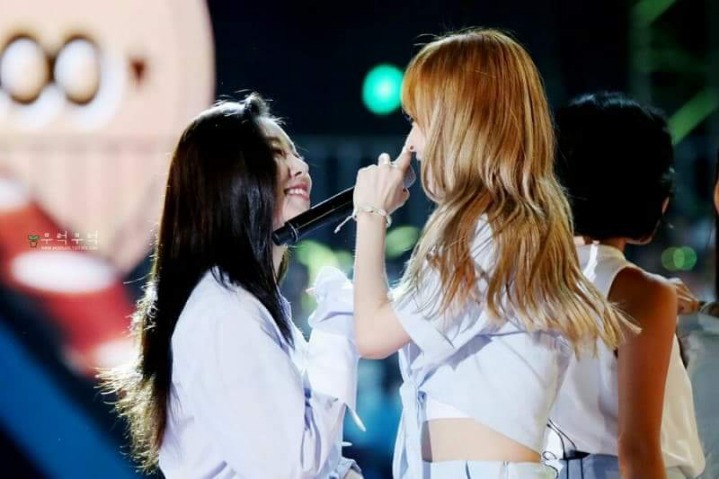 별콩 이미지