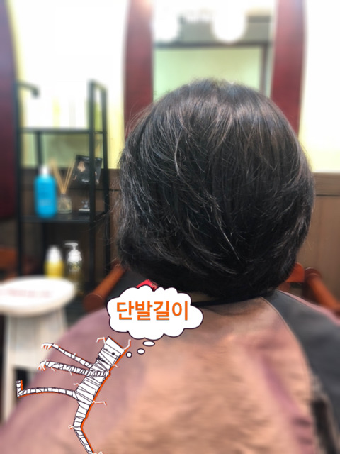 아나이스헤어 이미지