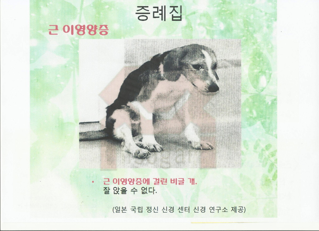 운동요법 이미지