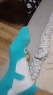 발연기 레전드.... gif | 인스티즈