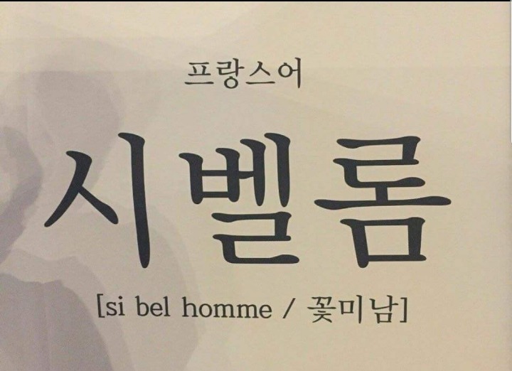 시벨롬 들 모여랏!! | 인스티즈