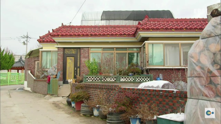 아픔을 느낄 수 없다면 좋은걸까? 무통증 환자 삼남매 이야기. #2 | 인스티즈