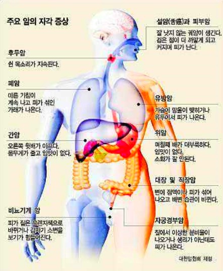 신비코 이미지