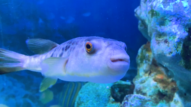 [여행영상찍는법] 스마트폰 여행 영상 촬영 꿀팁!! | 인스티즈