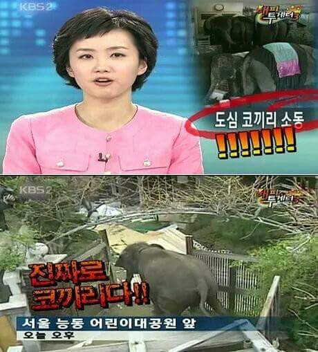 허언인줄 알았는데 허언이 아닌 이야기 모음 | 인스티즈