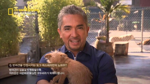 세계적인 동물 조련사 ㄷㄷ | 인스티즈