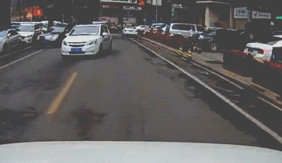 당당한 무단횡단 | 인스티즈