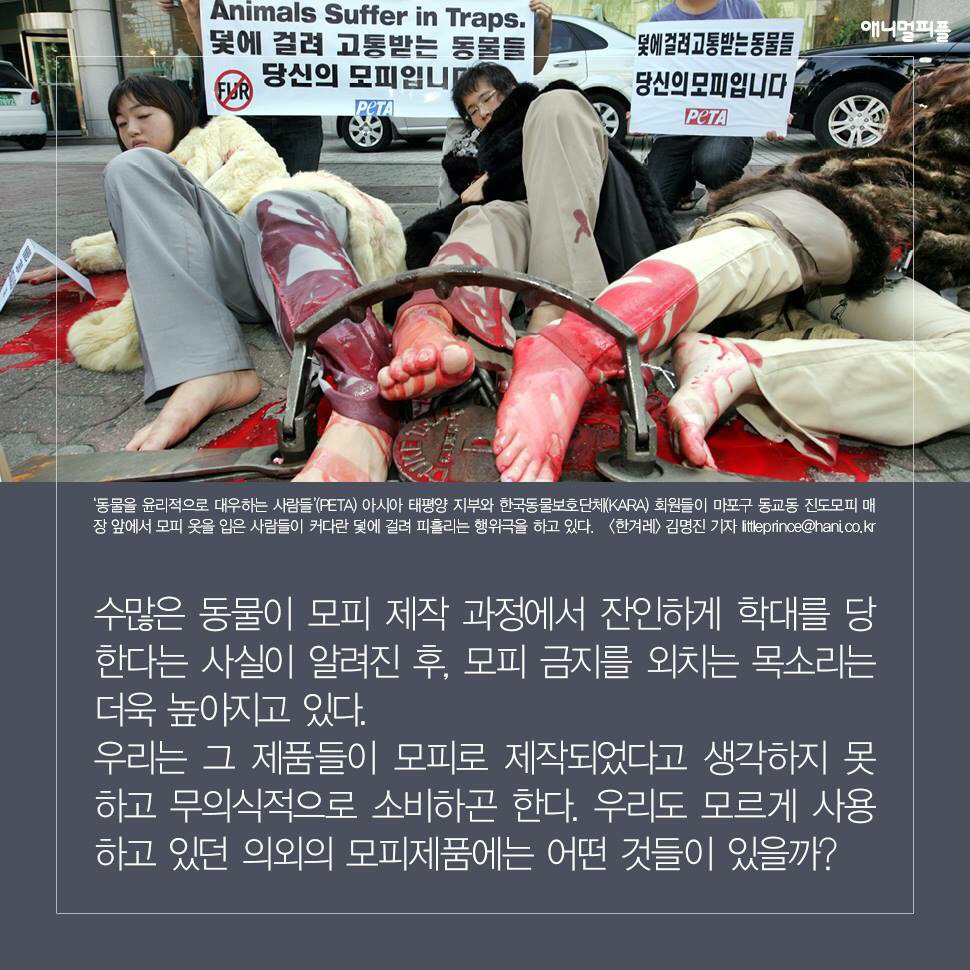 ??? : 아니 ㅅㅂ 말 못하는 강아지를 왜 때려...무슨 죄가 있다고... | 인스티즈