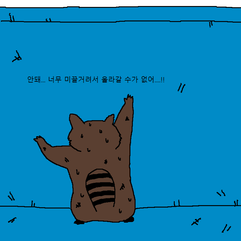 가상화폐 투자했다가 강제 존버하는 너구리 | 인스티즈