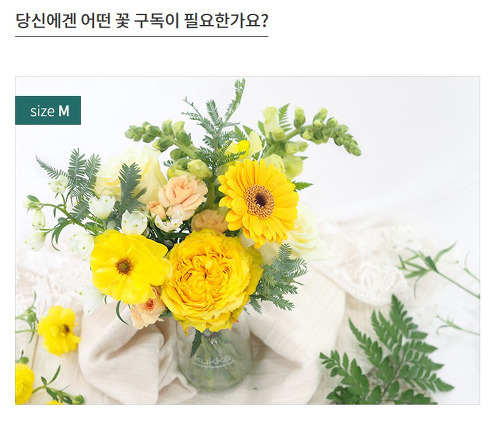 생각보다 다양한 정기구독 서비스 | 인스티즈