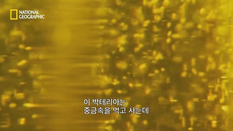 댈롤 화산: 지옥과 같은 이곳에 사는 단 하나의 생명체 | 인스티즈