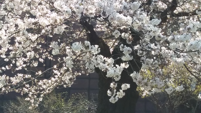 구두병원 이미지