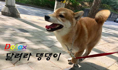 왕좌의 게임 가장 충격적이었던 사건은? | 인스티즈