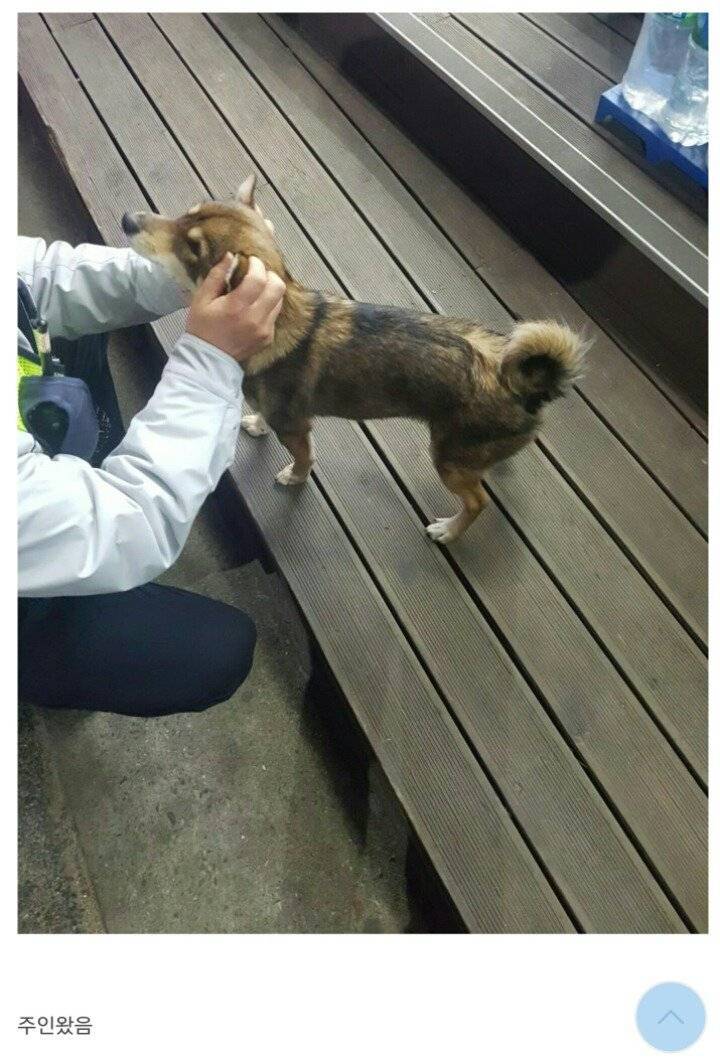 편의점에 찾아온 댕댕이.JPG | 인스티즈