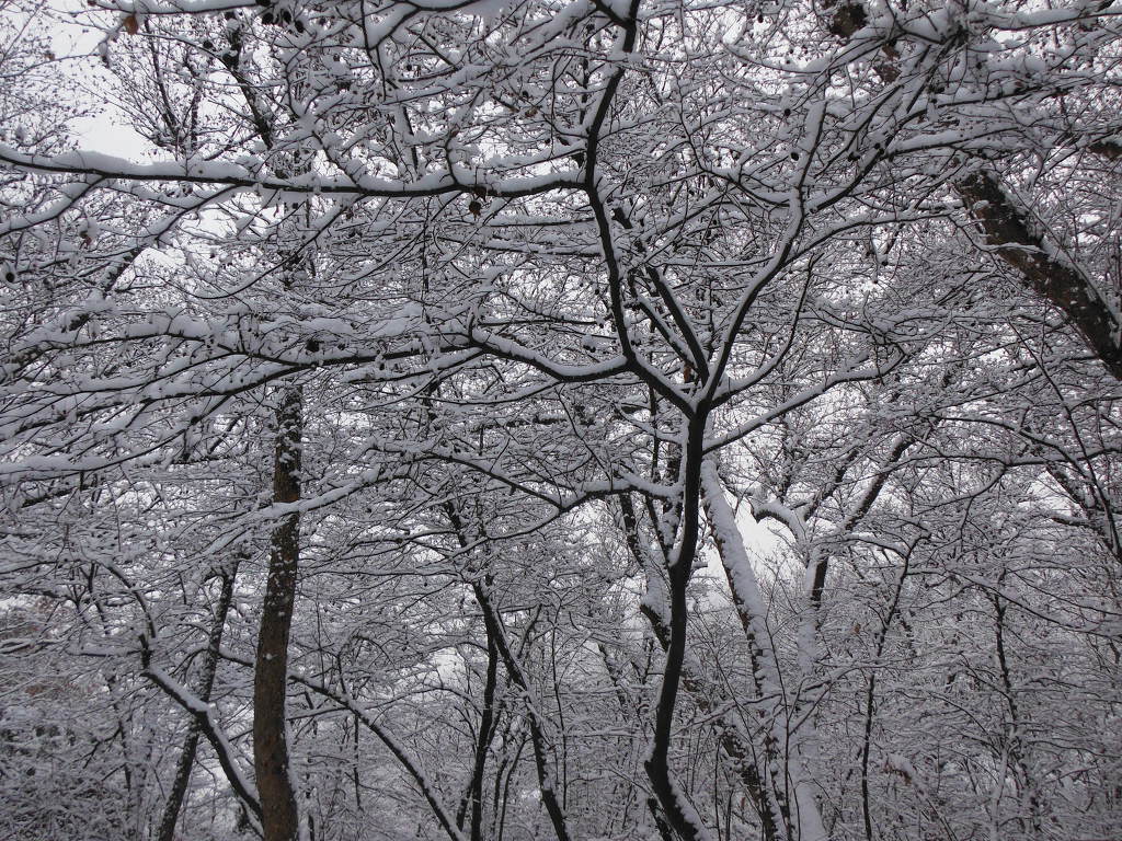 어등산호남대 이미지