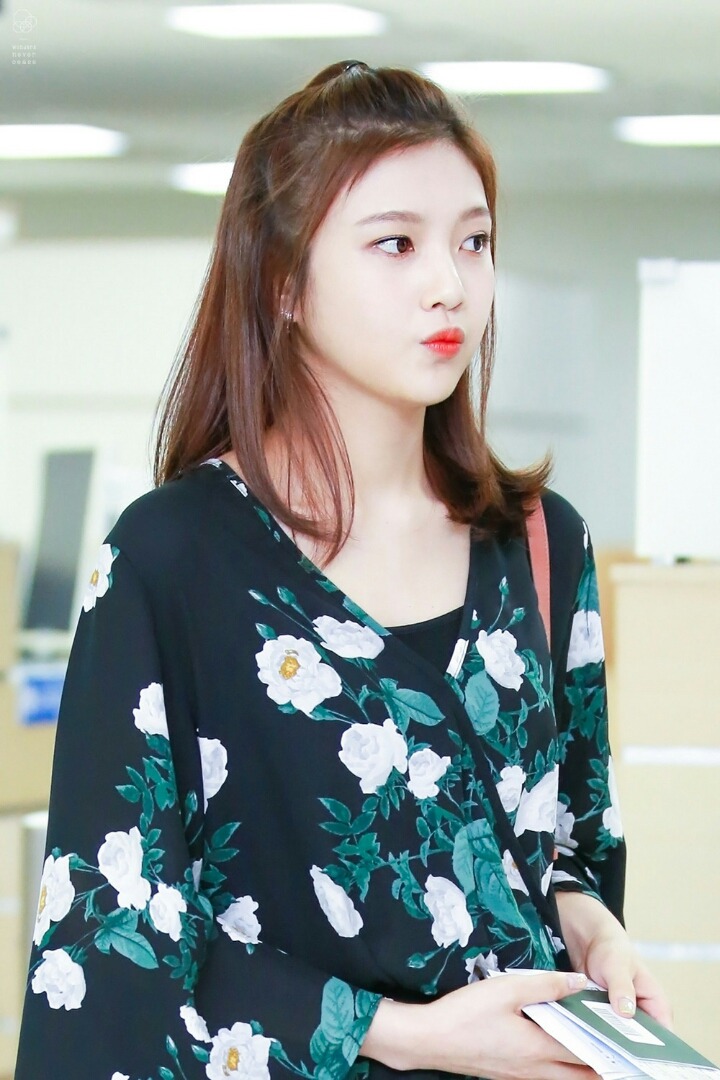 레드벨벳 조이 공항사진 레전드 | 인스티즈