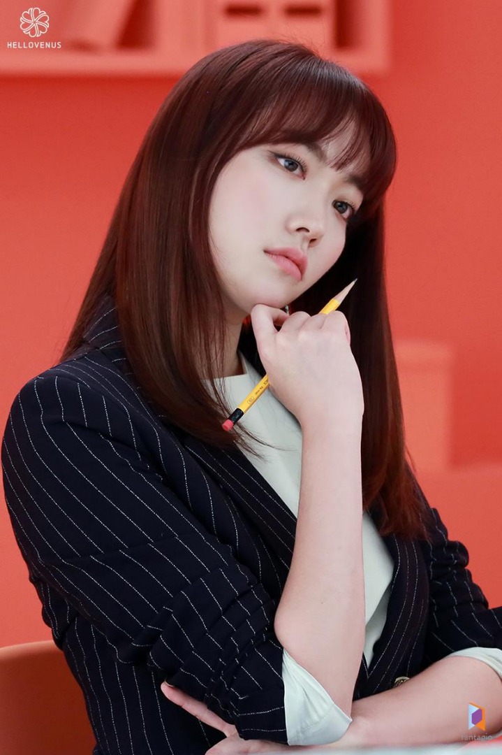 데이터주의) 네모 광고 찍은 헬로비너스 | 인스티즈