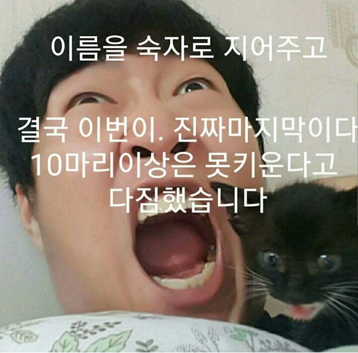 차라리 날 죽여...라는 제목으로 올라온 글(feat 집사).jpg | 인스티즈