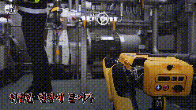 로봇개 스폿, 미국서 9000만원에 판매 시작 | 인스티즈
