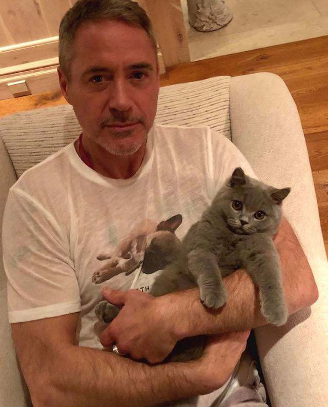 해피 생일을 축하해주는 아이언맨 | 인스티즈