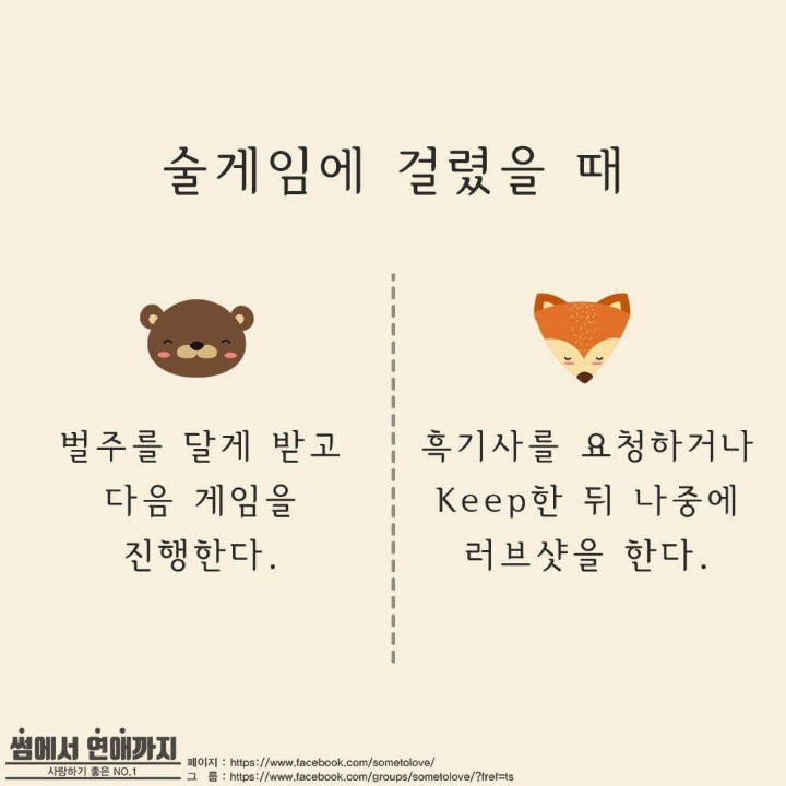 술자리에서 곰과 여우 구분하는법 | 인스티즈