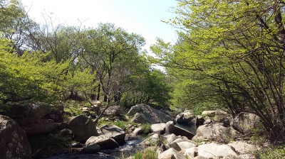 보따리주 이미지