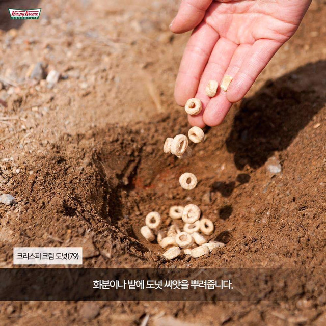사람들이 잘 모르는 도넛 만드는 법.jpg | 인스티즈