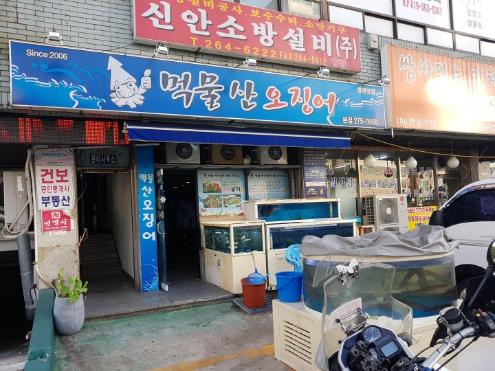 먹물산오징어 이미지