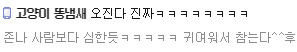 이쯤되면 어느정도인지 궁금해지는 고양이 똥냄새. jpg | 인스티즈
