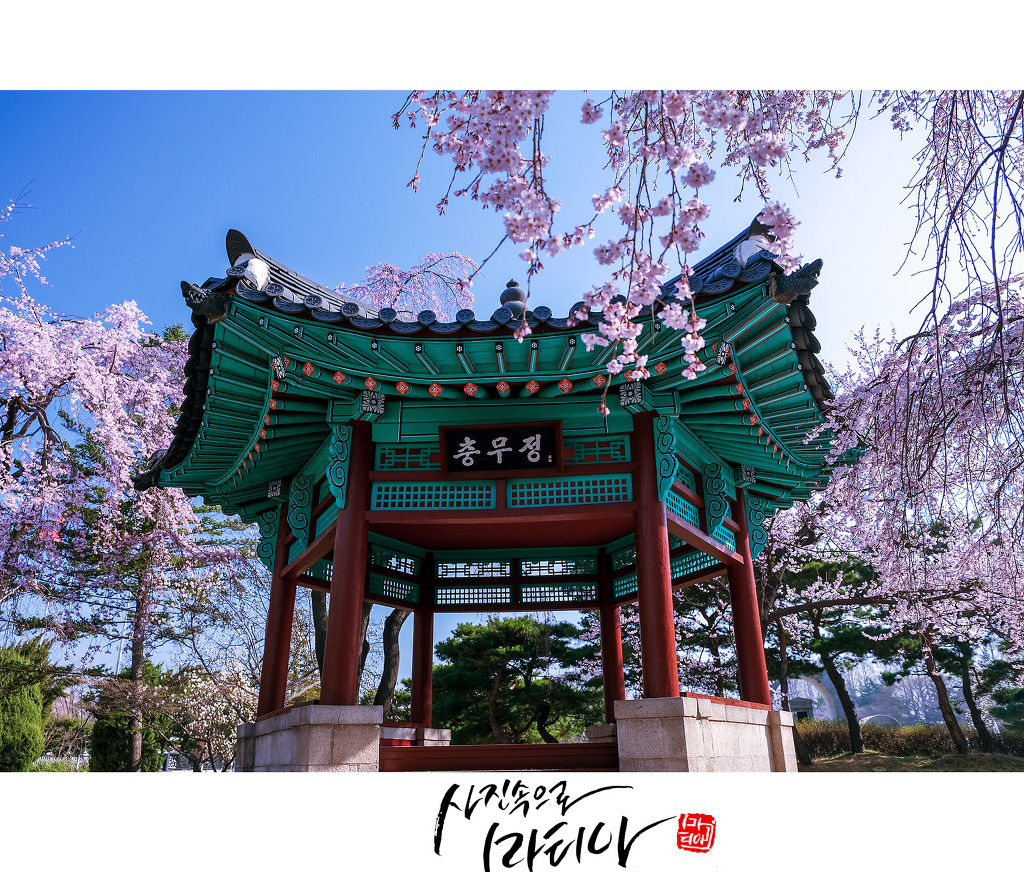 충무정 이미지
