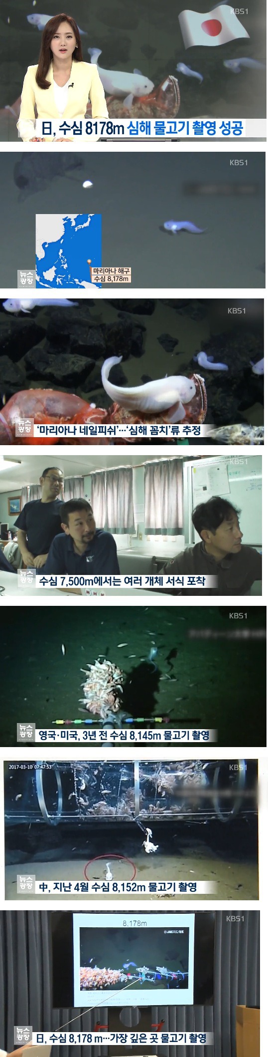 수심 8178m에서 심해어 촬영 성공한 일본.JPG | 인스티즈
