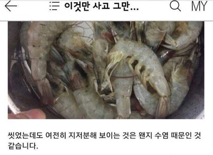 어느 한 블로거의 의식의 흐름.jpg (ㄹㅇ의식의 흐름 주의) (묘하게 논리적 주의) | 인스티즈