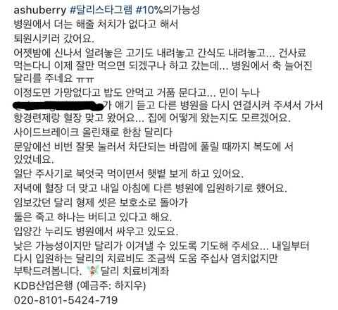 생존률 10%의 가능성과 싸우고 있는 달리에게 희망이 되어주세요... | 인스티즈