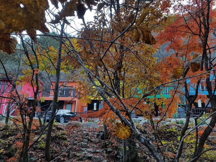 레인보우펜션 이미지