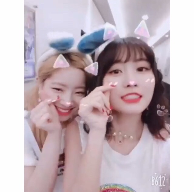 6/17 트와이스 두부한모.jpg | 인스티즈