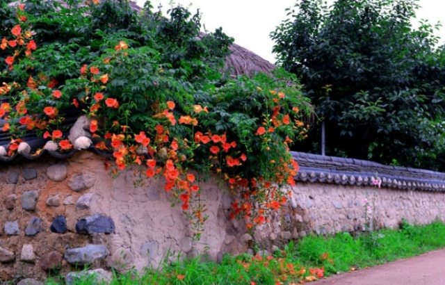 수보리 이미지