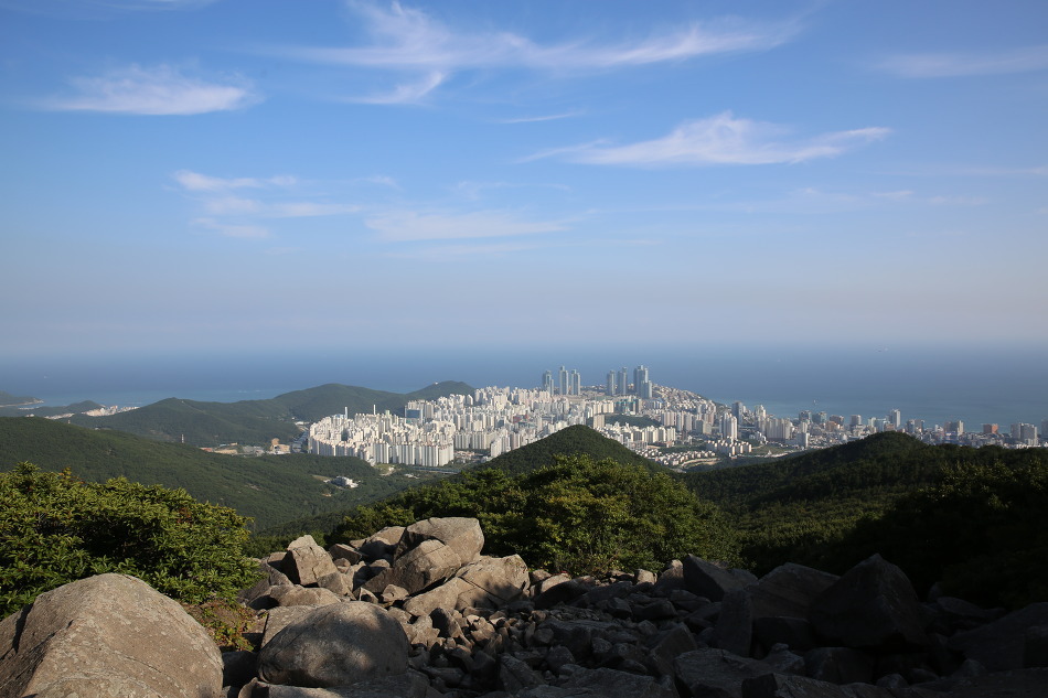 장산 이미지