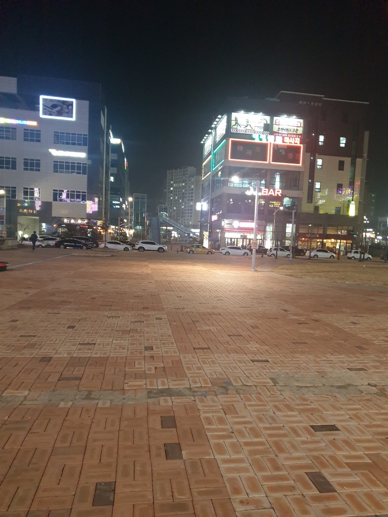며칠사이 유령도시로 전락한 국가공무인재개발원이 위치한 신도시 | 인스티즈