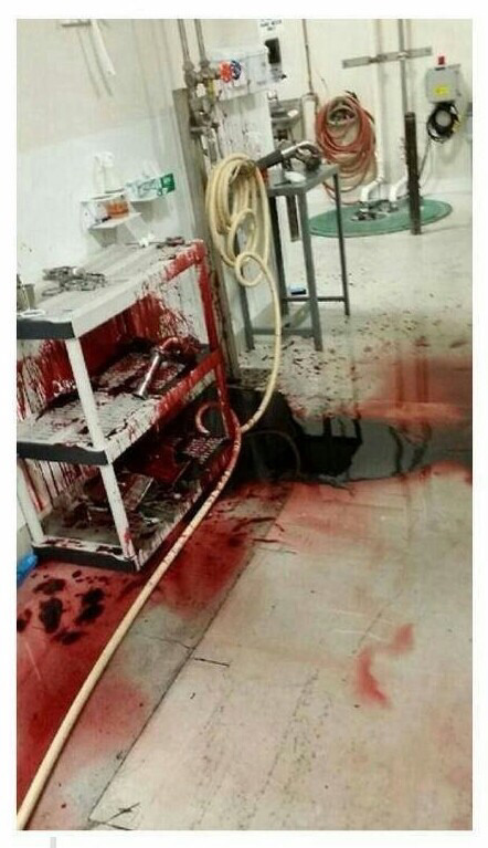 공장에서 일어난 끔찍한 사고.jpg | 인스티즈